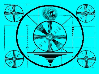 320x240 pixels (31K)